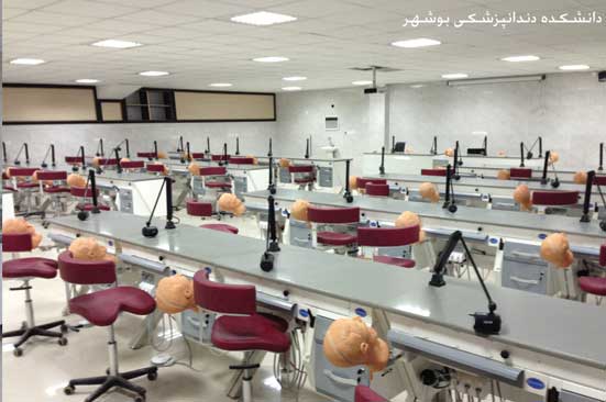دانشکده دندانپزشکی بوشهر-2||||154||||گالری تصاویر دانشگاه ها