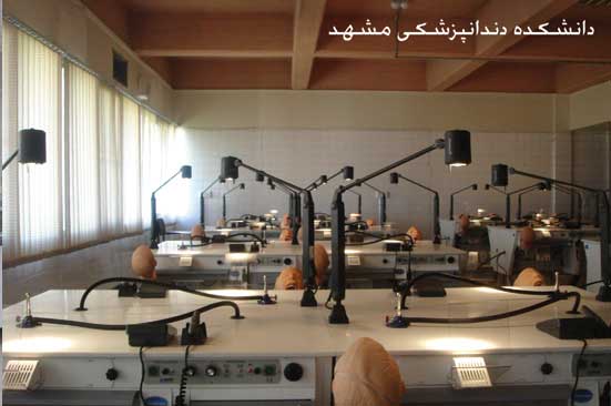 Mashhad Dental School||||271||||Gallery universities-2
